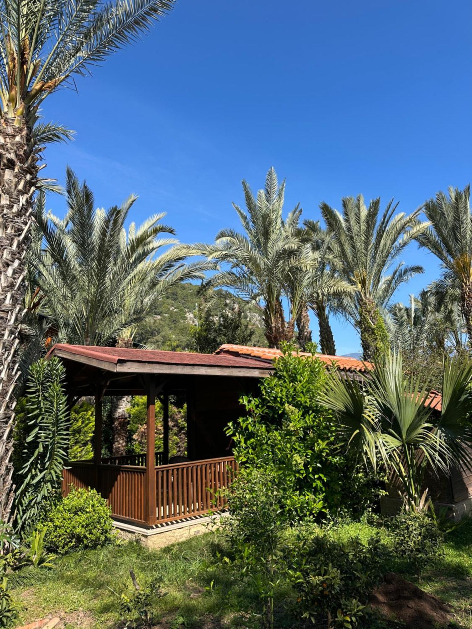 Azur Hotel Çıralı Kültér fotó